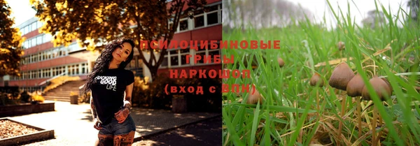 первитин Алексеевка