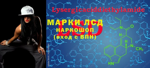 apvp Алзамай