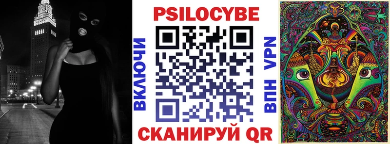 hydra ссылки  Барыш  Псилоцибиновые грибы Psilocybe 